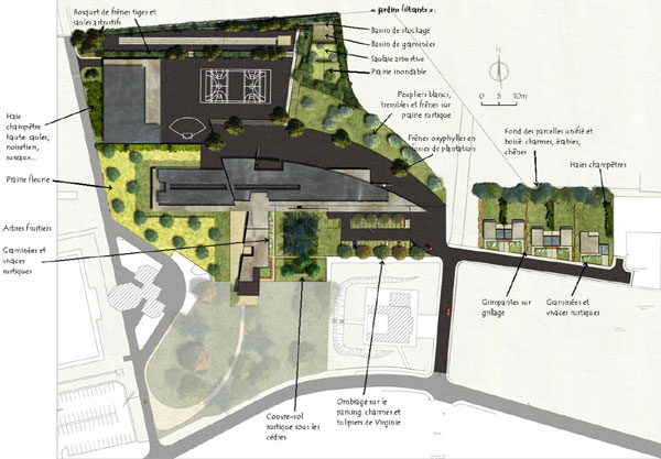 plan masse de l'aménagement